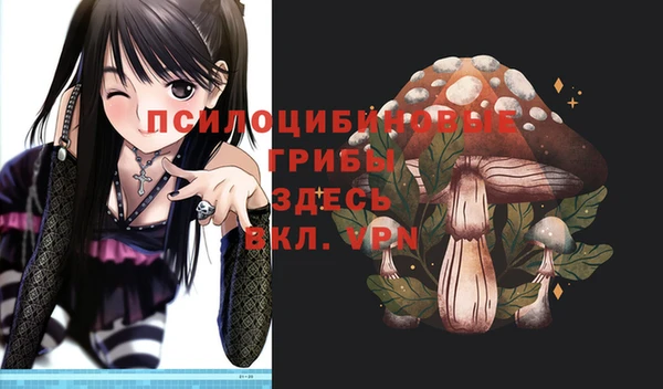 кокаин премиум Ессентукская