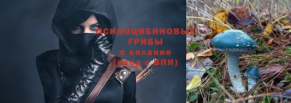 стаф Санкт-Петербург