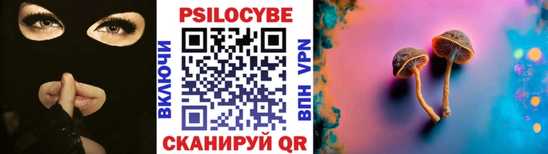 где можно купить   Элиста  гидра вход  Галлюциногенные грибы Magic Shrooms 