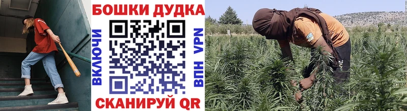 даркнет сайт  Элиста  Бошки Шишки ГИДРОПОН 