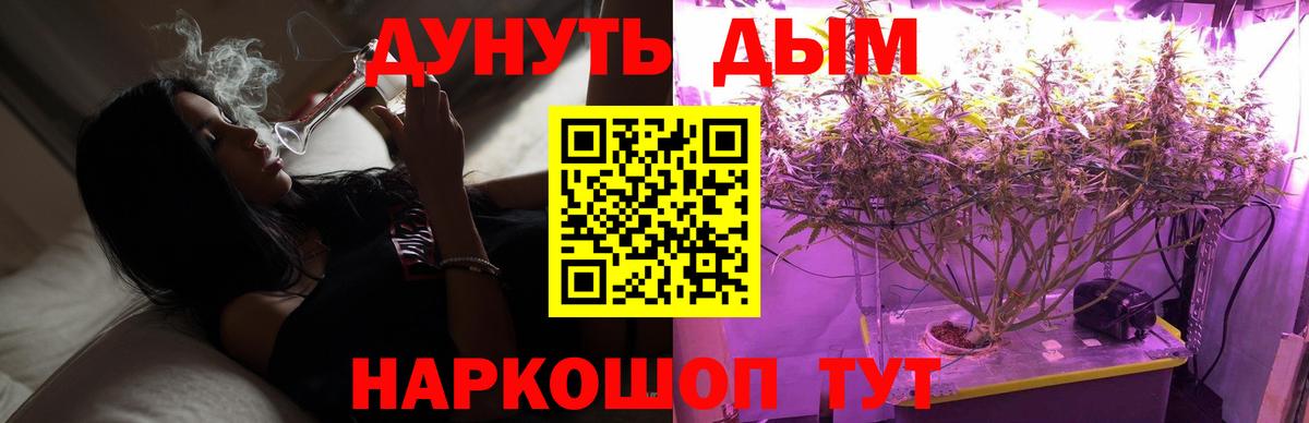 Бошки марихуана White Widow Элиста